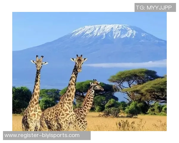 实时新闻攀岩人生的深度对话周军如何在高峰与挑战中找到自我